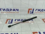 Амортизатор крышки (двери) багажника правый правый Kia Rio 3 817804Y200