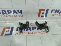 Петли двери задняя левая Kia Rio 3 793300U000