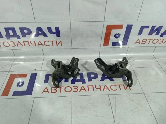 Петли двери задняя левая Kia Rio 3 793300U000