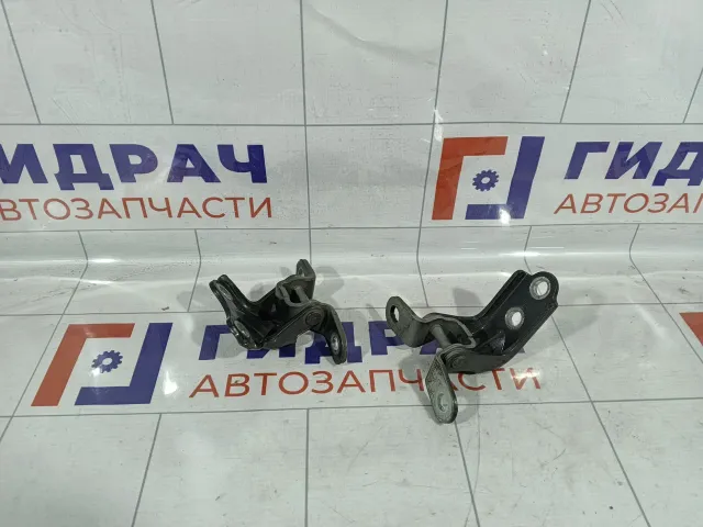 Петли двери задняя правая Kia Rio 3 793400U000
