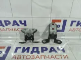 Петли двери задняя правая Kia Rio 3 793400U000