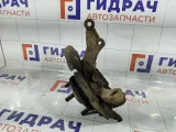 Кулак поворотный передний левый Kia Rio 3 517150U001