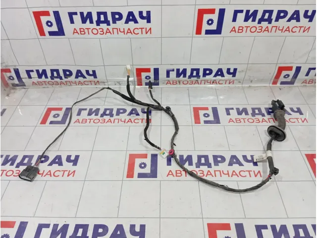 Проводка двери задней левой Kia Rio 4 91650H0020
