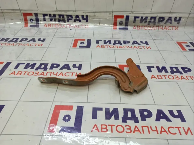 Петля капота левая Kia Rio 4 79110H0000