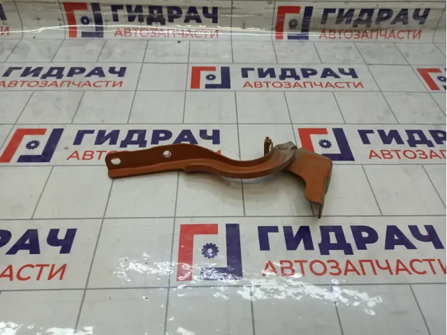 Петля капота правая Kia Rio 4 79120H0000