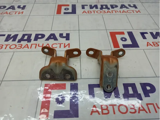 Петли двери задней правой Kia Rio 4