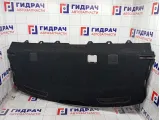 Полка (шторка) задняя Kia Rio 85610H0000WK