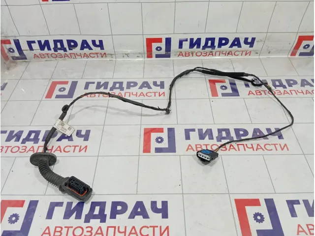 Проводка двери задней левой Kia Rio 91650H0030