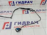 Проводка двери задней левой Kia Rio 91650H0030