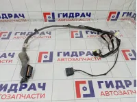 Проводка двери передней левой Kia Rio 91600H0030