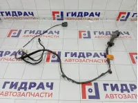 Проводка двери передней правой Kia Rio 91660H0020