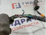 Проводка двери передней правой Kia Rio 91660H0020