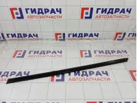 Уплотнитель стекла переднего левого Kia Rio 82231H0000