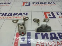Петли двери задней правой Kia Rio