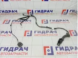 Проводка двери задней левой Kia Rio 91650H0020