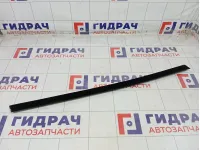 Уплотнитель стекла переднего правого Kia Rio 82241H0000