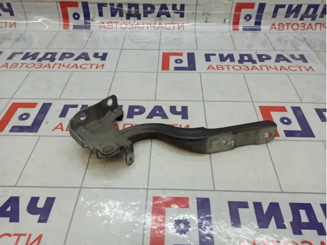 Петля капота левая Kia Rio 79110H0000