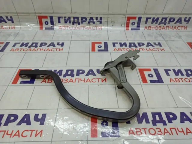 Петля багажника правая Kia Rio 79220H0000