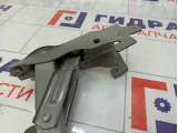 Петля багажника правая Kia Rio 79220H0000