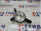 Фара противотуманная правая Kia Rio 92208H0000