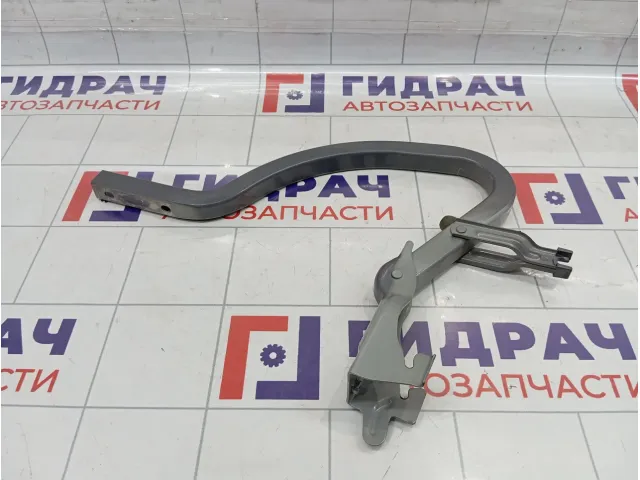 Петля багажника правая Kia Rio (FB) 79220H0000