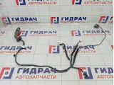 Проводка двери задней левой Kia Rio X-Line 91655H0110