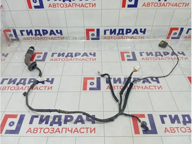 Проводка двери задней левой Kia Rio X-Line 91655H0110