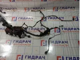 Проводка двигателя Kia Rio 2 (JB) 91242-1G010