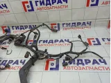 Проводка двигателя Kia Rio 2 (JB) 91420-1G270
