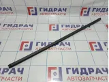 Уплотнитель стекла двери переднего правого Kia Rio 3 (QB) 82241-4X000