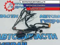 Проводка двери передней правой Kia Rio 3 916104Y100.