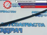 Планка стекла двери задней правой Kia Rio 3 83241-4X000.