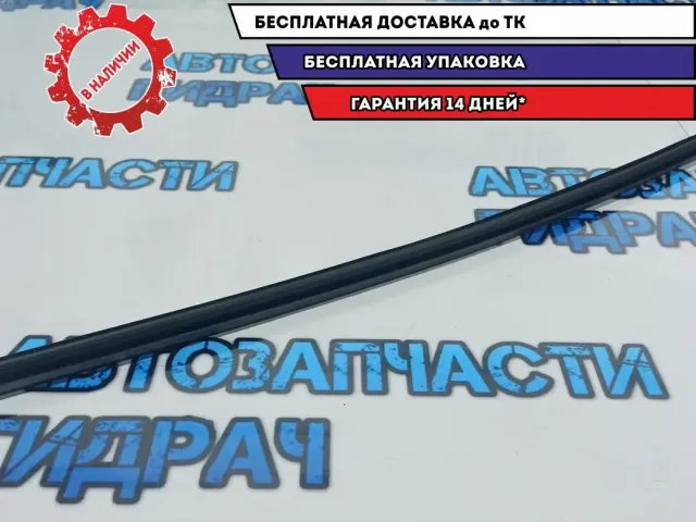 Планка стекла двери задней правой Kia Rio 3 83241-4X000.