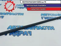 Планка стекла двери передней правой Kia Rio 3 82241-4X000.