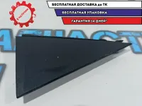 Накладка двери задней правой Kia Rio 3 83840-4X000.