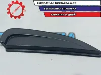 Накладка двери задней правой Kia Rio 3 87820-4Y000. Дефект.