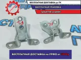 Петли двери передней левой Kia Rio 3.