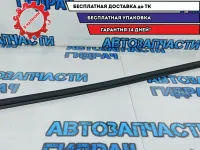 Планка стекла двери передней левой Kia Rio 3 82231-4X000.