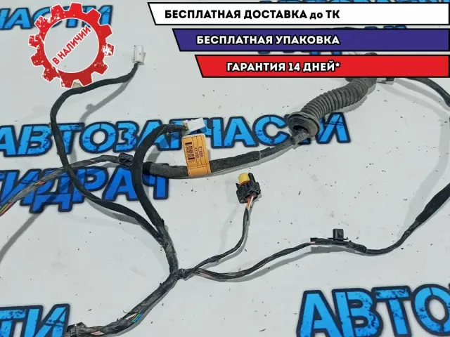 Проводка задней левой двери Kia Rio 3 91650-4Y050.