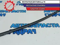 Планка стекла двери передней левой Kia Rio 3 82231-4X000.