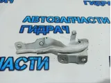Петля капота правая Kia Rio 3 79120-4Y000.