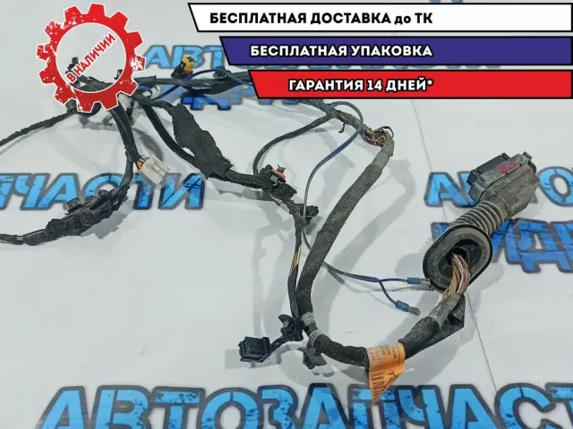 Проводка двери передней правой Kia Rio 3 916104Y100. Дефект.