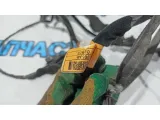 Проводка двери передней правой Kia Rio 3 916104Y100. Дефект.