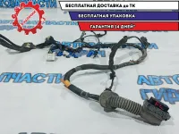 Проводка двери передней левой Kia Rio 3 916004Y061. Дефект.