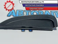 Накладка двери задней левой Kia Rio 3 87810-4Y000. Дефект. Сломано крепление.