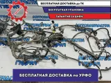 Проводка моторная Kia Rio 3 . 1.6 G4FC.