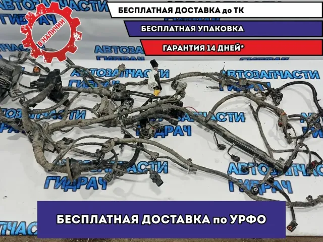 Проводка моторная Kia Rio 3 . 1.6 G4FC.