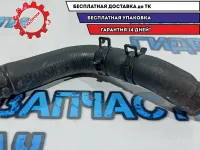 Патрубок радиатора Kia Rio 3 25411-1J100.