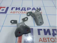 Петли двери передней левой Kia Rio 3 (QB)