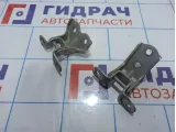 Петли двери передней левой Kia Rio 3 (QB)